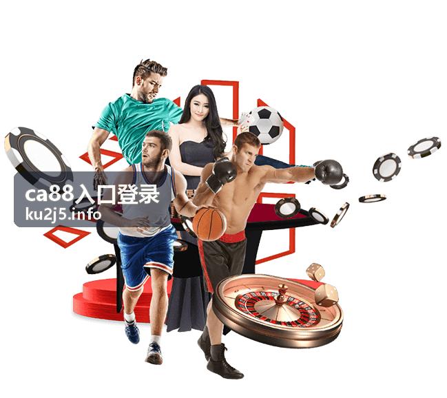登录验证失败常见原因与解决方法封面图